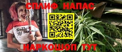 ПСИЛОЦИБИНОВЫЕ ГРИБЫ Берёзовский
