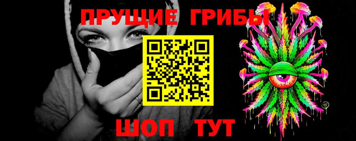 Киров  Псилоцибиновые грибы Psilocybe  Вход с VPN 